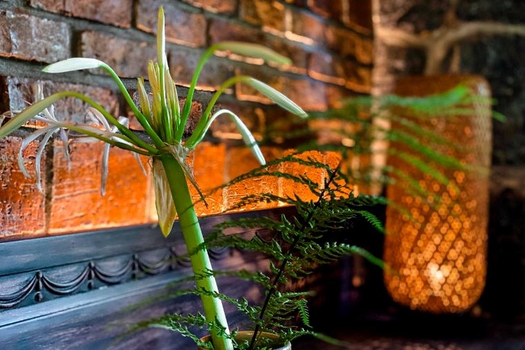 Tam Cốc Garden Resort